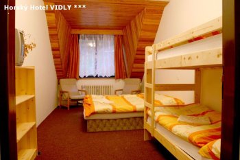 Horsk hotel Vidly